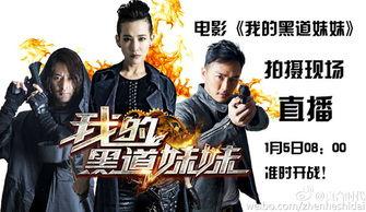 我的黑道妹妹演员表